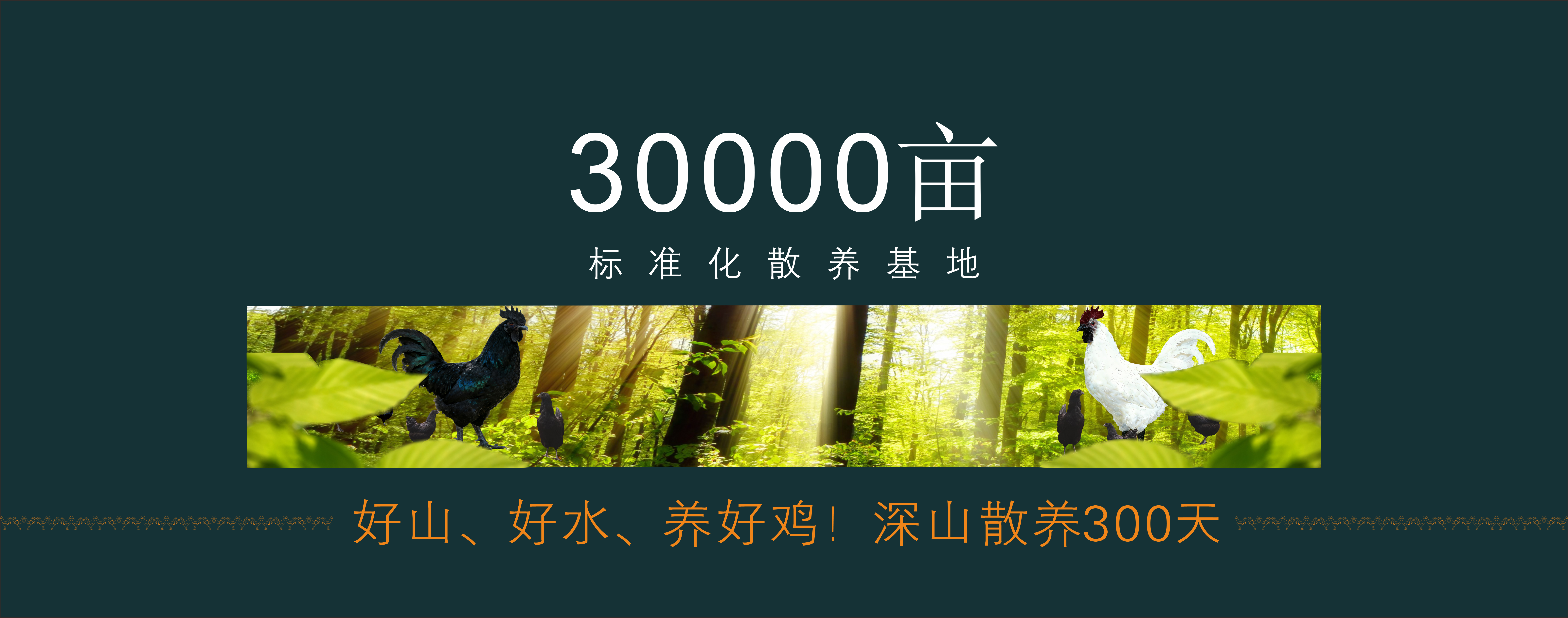 轮播图2